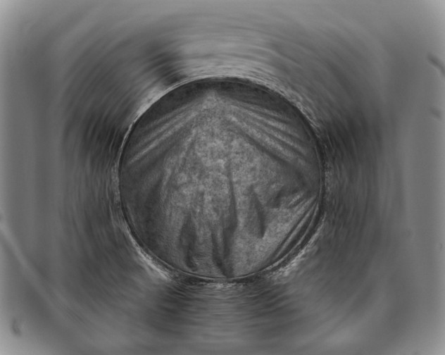 X0000096641521200802191208