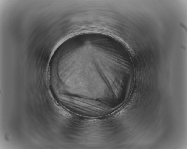 X0000096641522200802191208