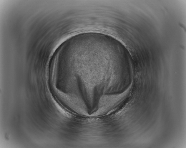 X0000096641523200802191208