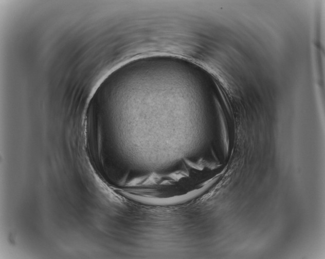 X0000096641524200802191208