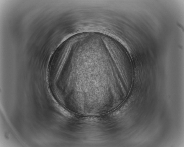 X0000096641525200802191208