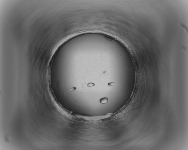 X0000096641526200802191208