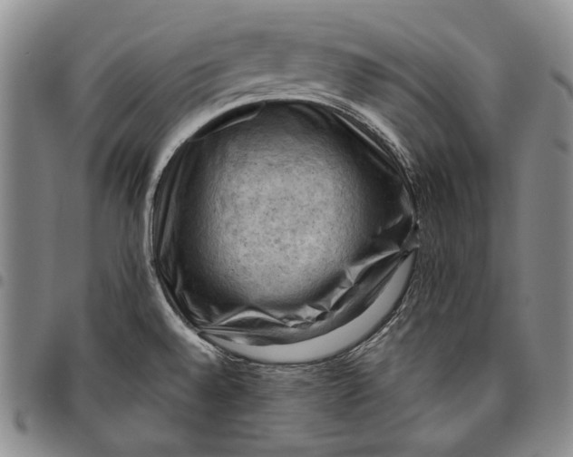 X0000096641528200802191208