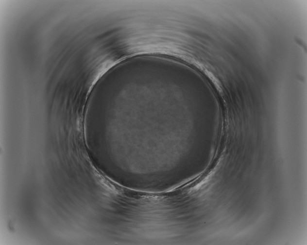 X0000096641529200802191208