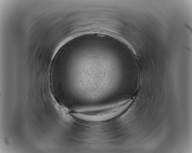 X0000096641530200802191208