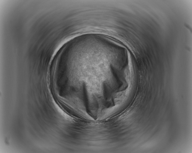 X0000096641531200802191208