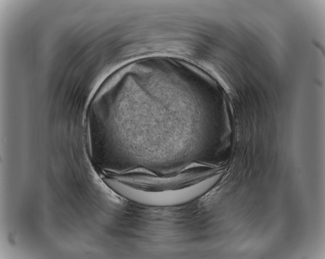 X0000096641532200802191208