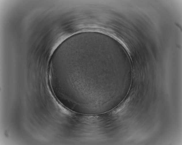 X0000096641533200802191208