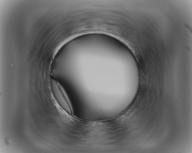 X0000096641534200802191208