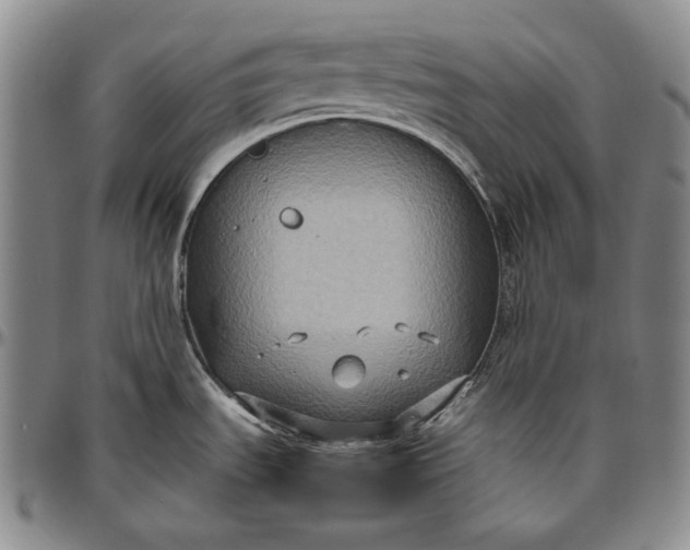 X0000096641535200802191208