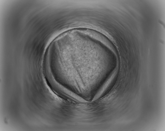 X0000096641536200802191208