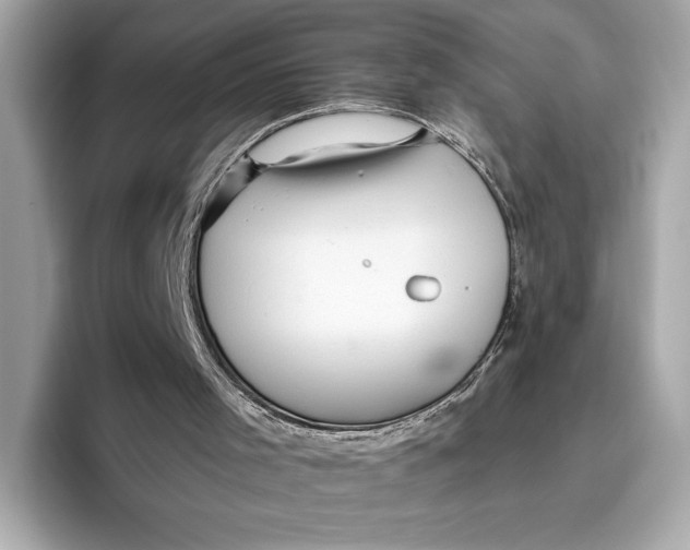 X0000096640001200802261308