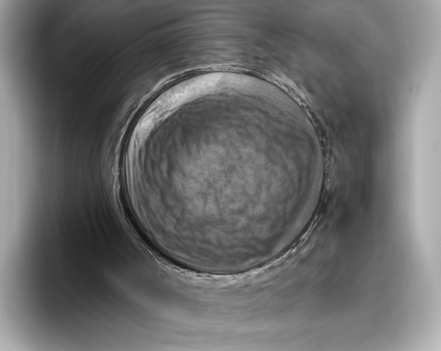 X0000096640002200802261308