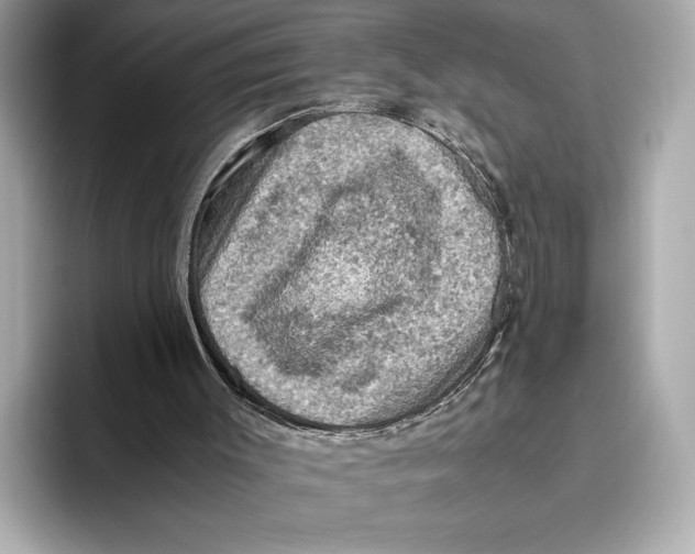 X0000096640003200802261308