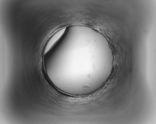 X0000096640005200802261308