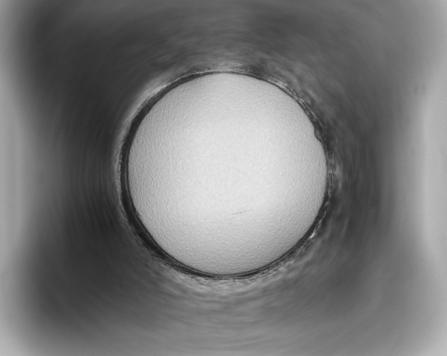 X0000096640006200802261308