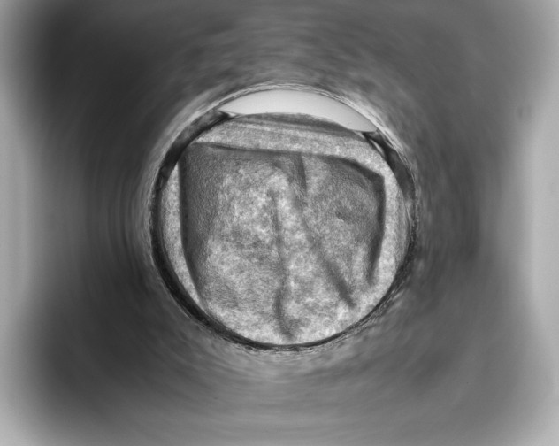 X0000096640007200802261308