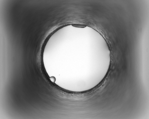 X0000096640008200802261308