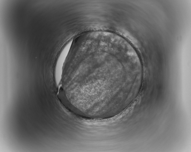 X0000096640009200802261308