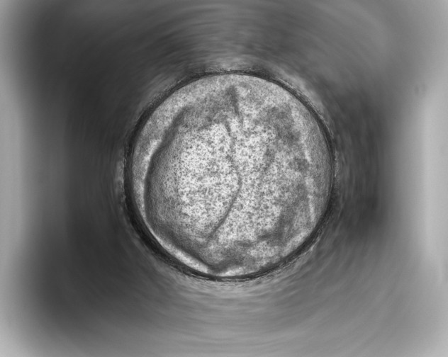 X0000096640010200802261308