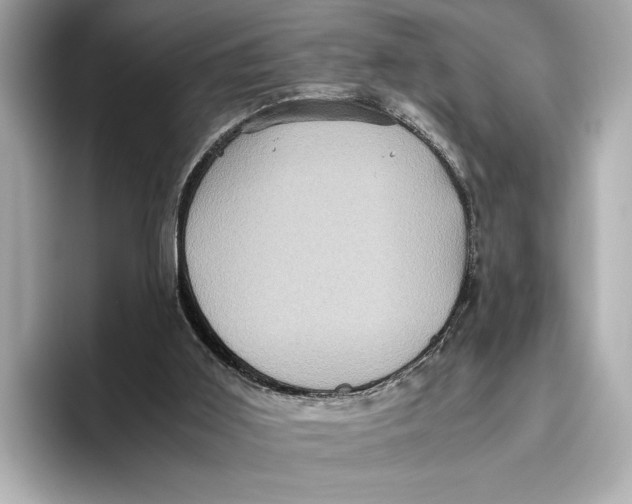 X0000096640011200802261308