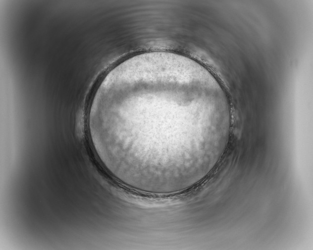 X0000096640012200802261308