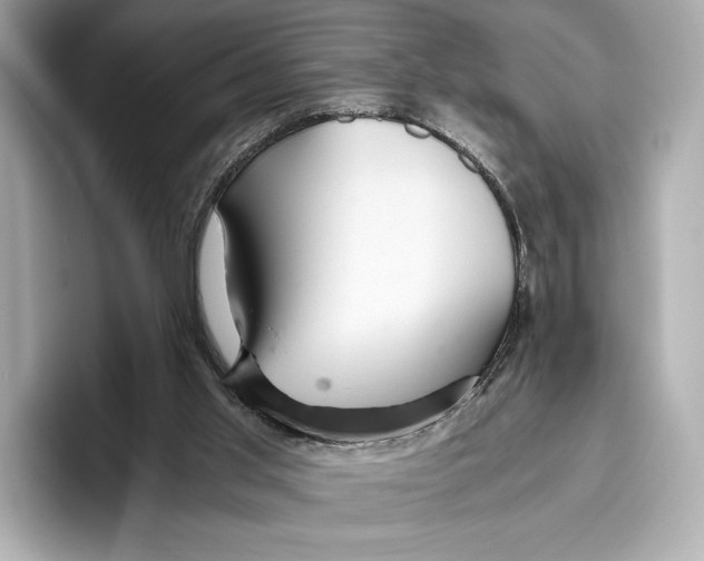 X0000096640013200802261308