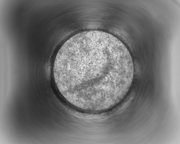 X0000096640016200802261308