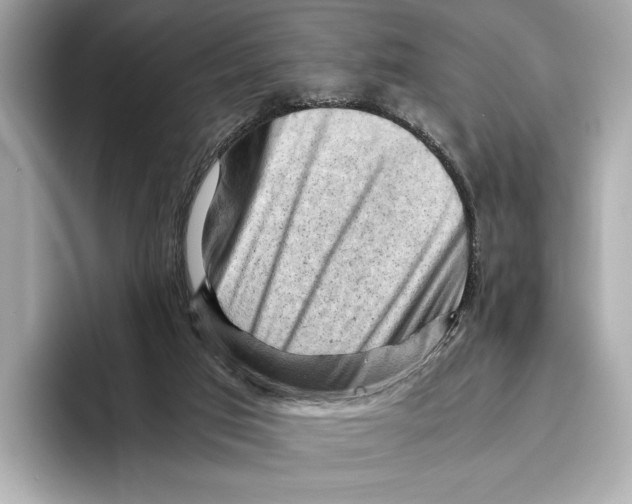 X0000096640017200802261308