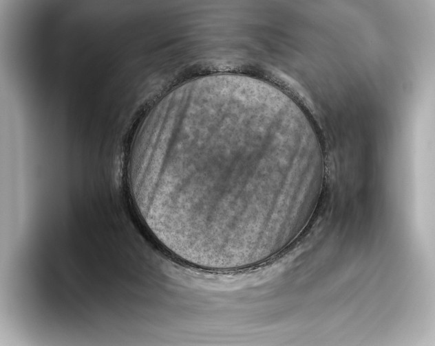 X0000096640018200802261308