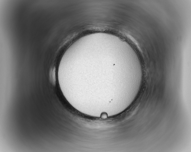 X0000096640020200802261308