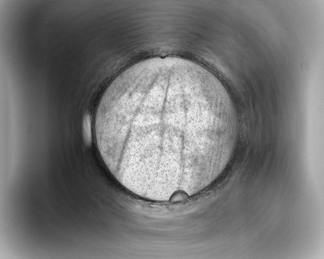 X0000096640022200802261308