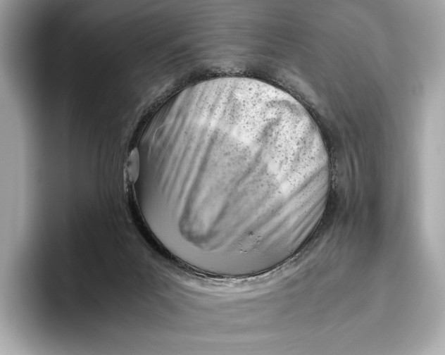 X0000096640023200802261308