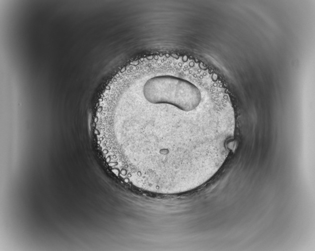 X0000096640024200802261308