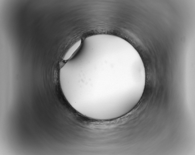 X0000096640025200802261308