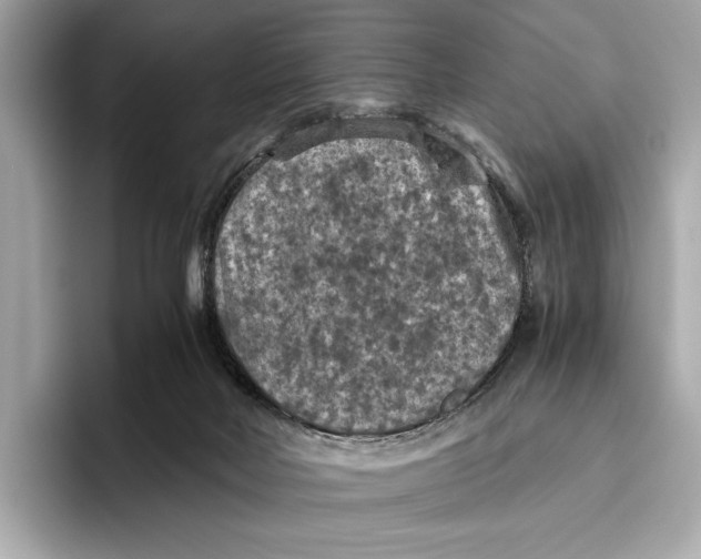 X0000096640026200802261308