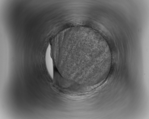 X0000096640029200802261308