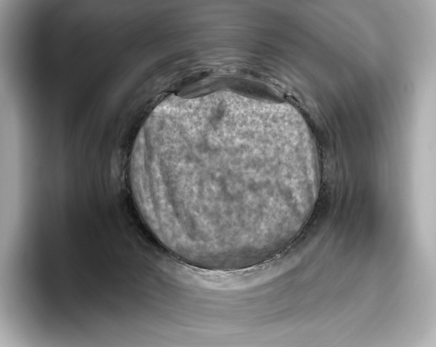 X0000096640030200802261308