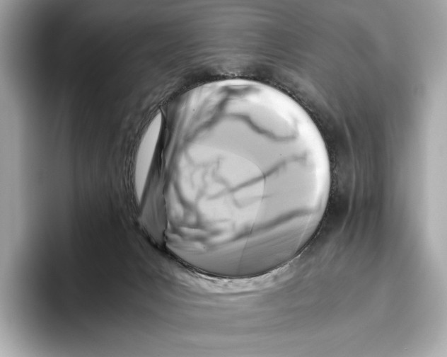 X0000096640031200802261308