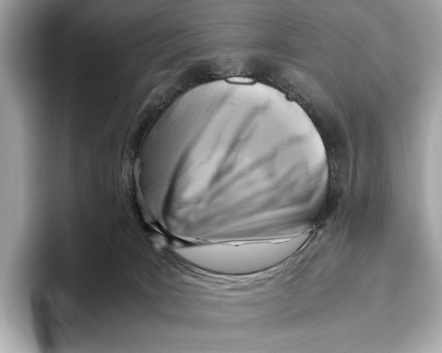 X0000096640035200802261308