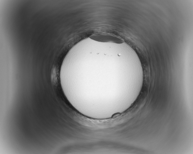 X0000096640038200802261308