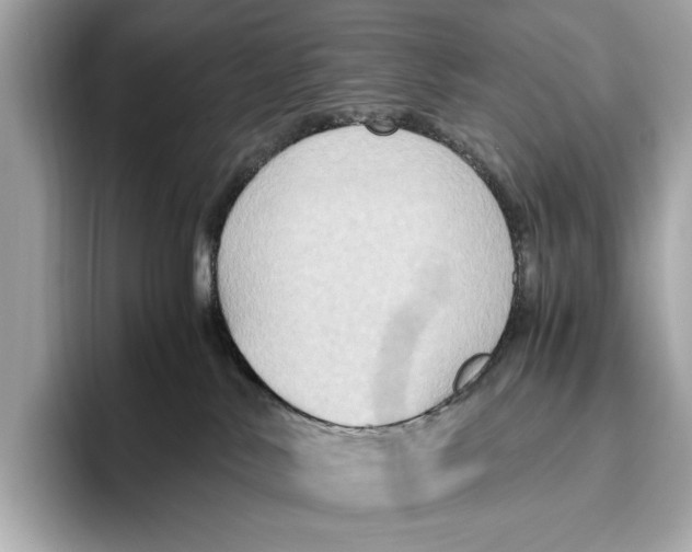 X0000096640042200802261308