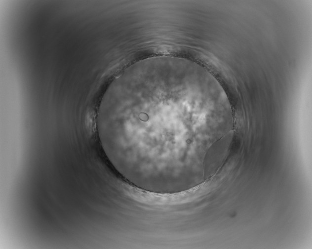 X0000096640043200802261308