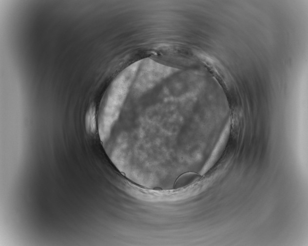 X0000096640046200802261308