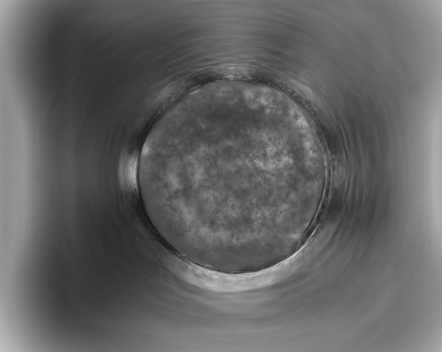 X0000096640047200802261308