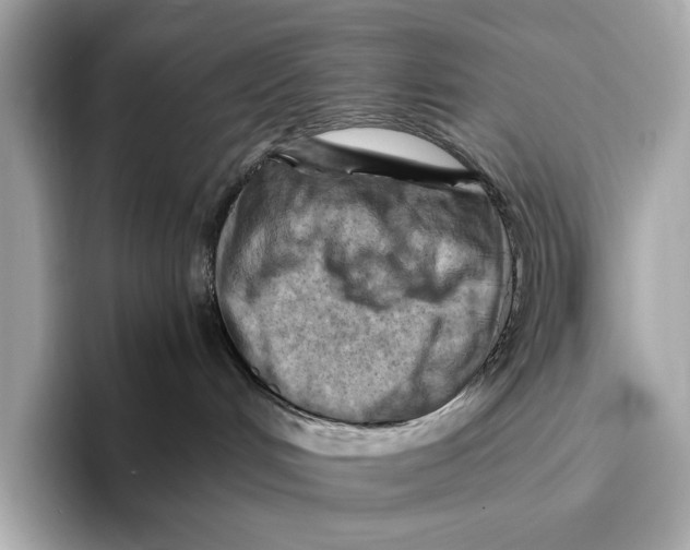 X0000096640048200802261308