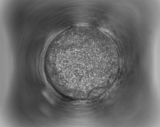 X0000096640049200802261307