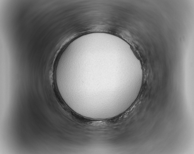 X0000096640050200802261307