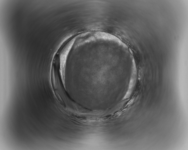 X0000096640052200802261307