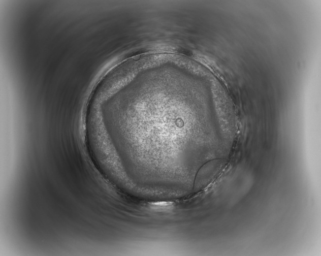 X0000096640053200802261307